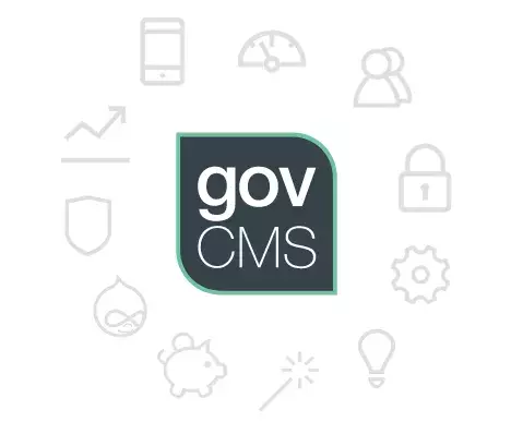 Government delivery experience