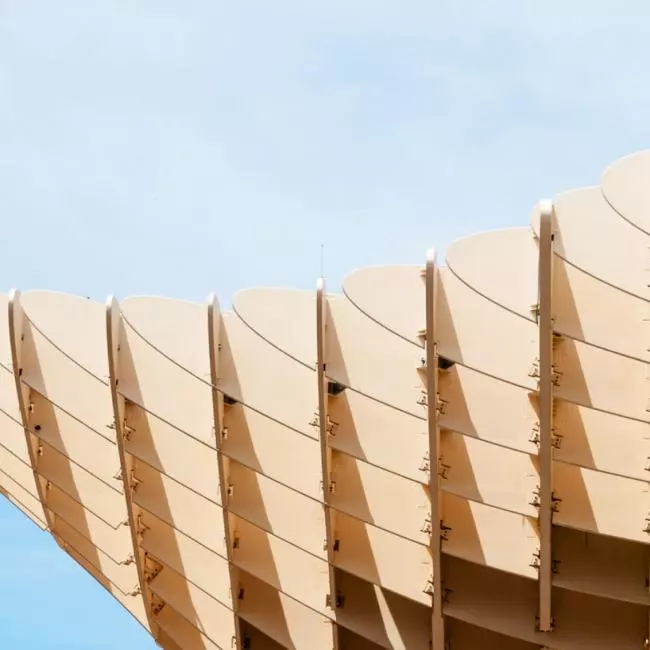 Enhancing usability for Australia’s leading timber knowledge platform